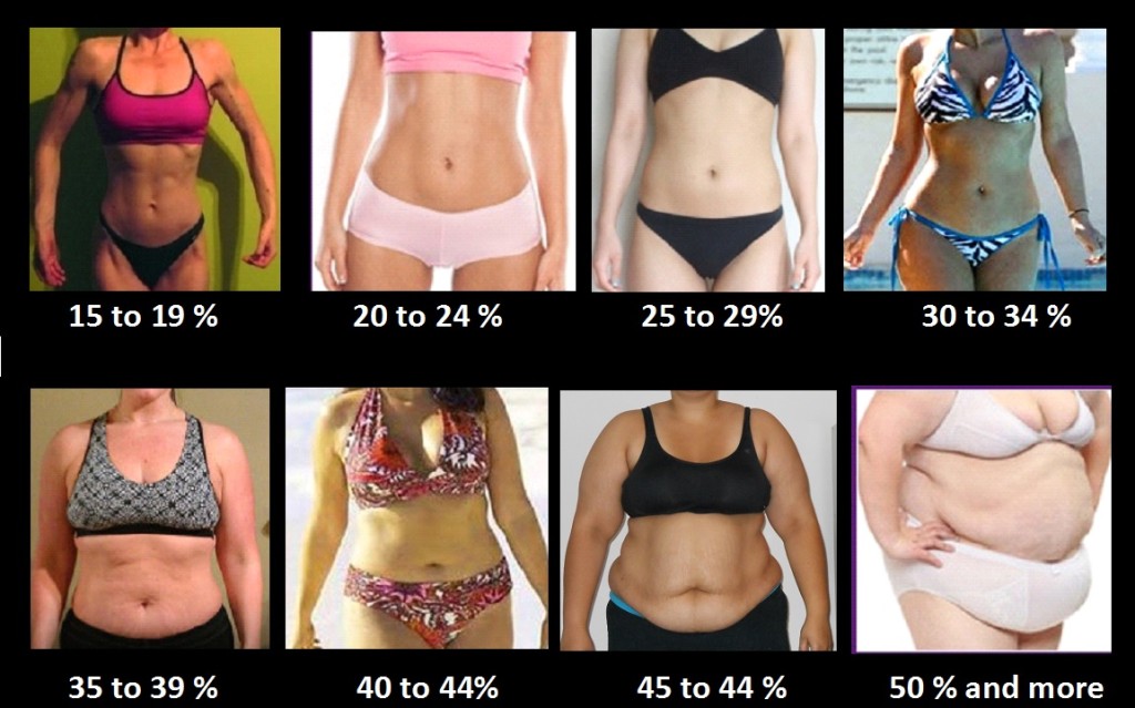 Various Body Fat % Levels of Females