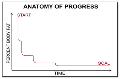Anatomy of Progress