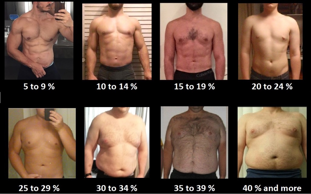 Various Body Fat % Levels of Males