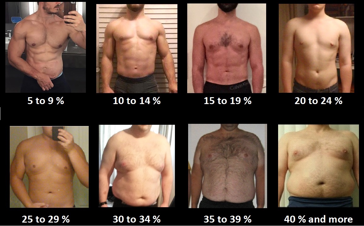 Body Fat Percentage Chart