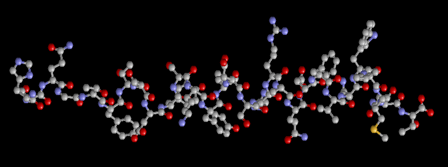 protein over-consumption increases glucagon production. Glugacon Molecule shown