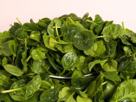 micronutrients in 200 cals of spinach